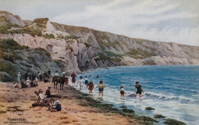 Folkestone, The Warren Beach by Alfred Robert Quinton